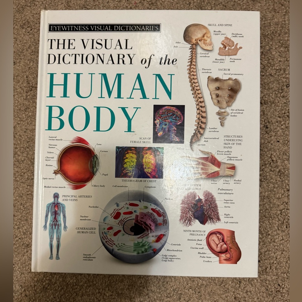 The Visual Dictionary of the Human Body Book